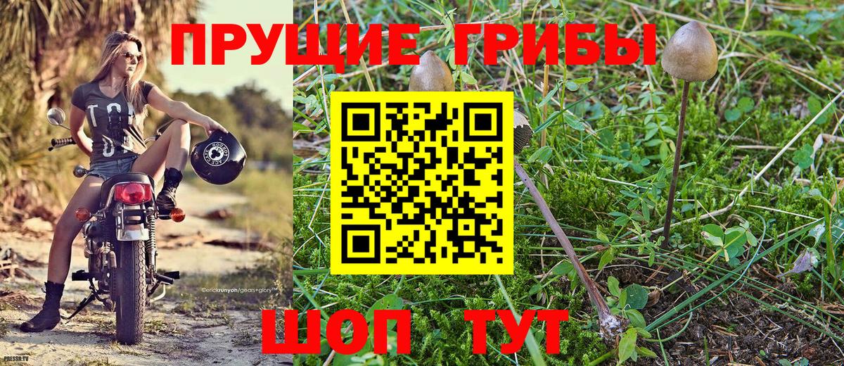 Псилоцибиновые грибы прущие грибы Белово
